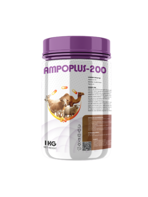 AMPOPLUS-200