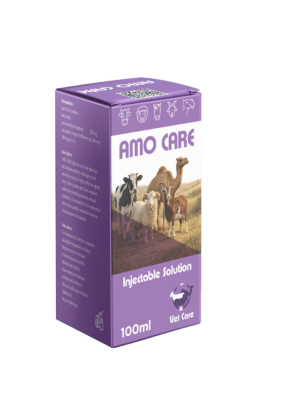 AMO CARE