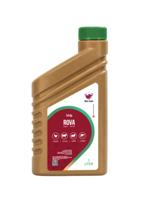 ROVA