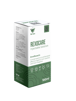 REXOCARE