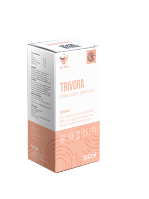TRIVORA
