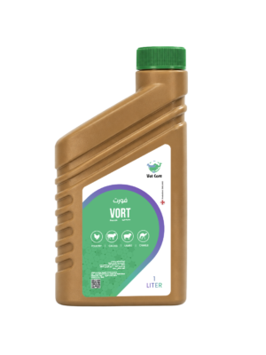 VORT